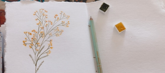 Violeta Luján - Como pintar la flor mimosa en acuarela paso a paso - 7