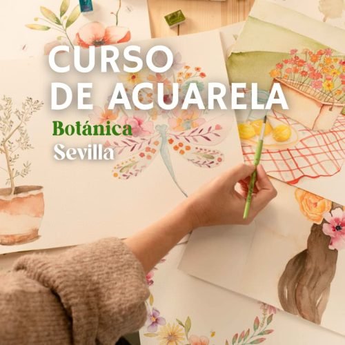taller acuarela sevilla taller acuarela sevilla