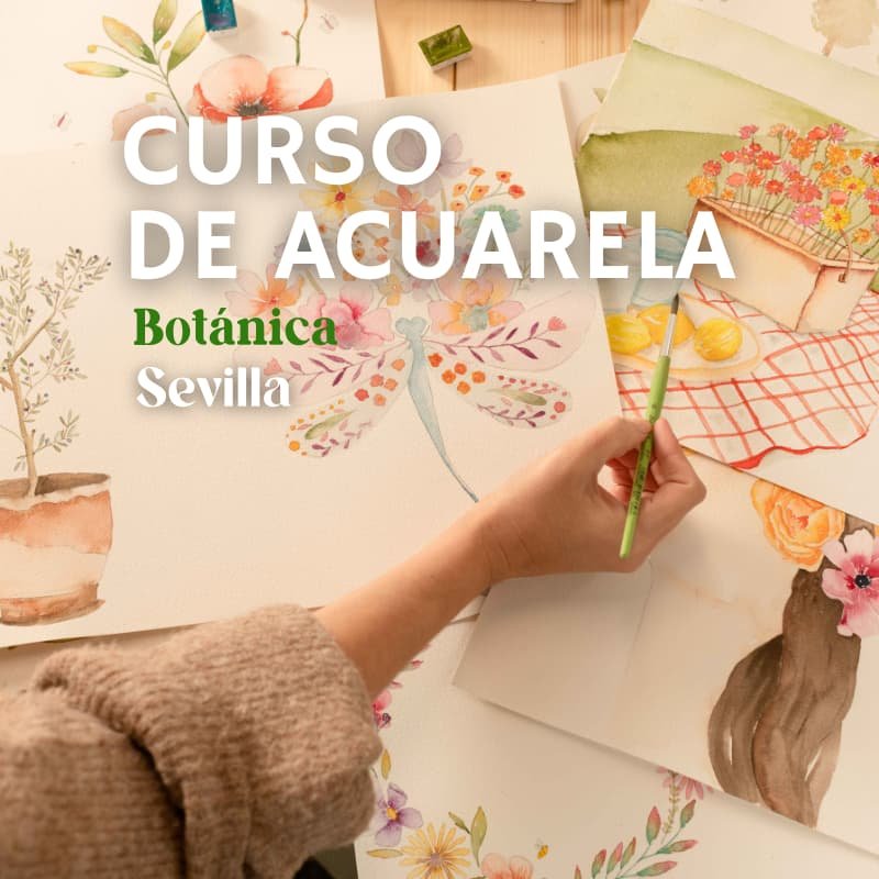 taller acuarela sevilla taller acuarela sevilla