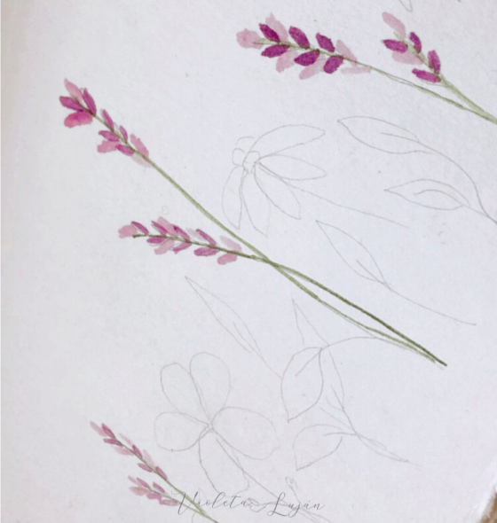 Acuarela-de-Flores-Silvestres-3